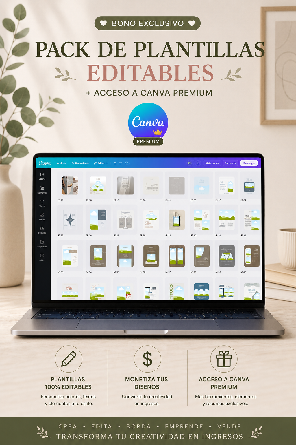 Plantillas Canva Redes